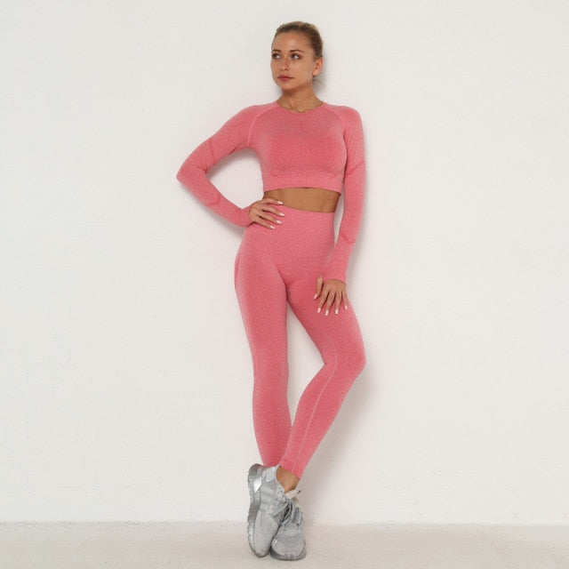 Gazlysta seamless Women workout outfit-2 piece set